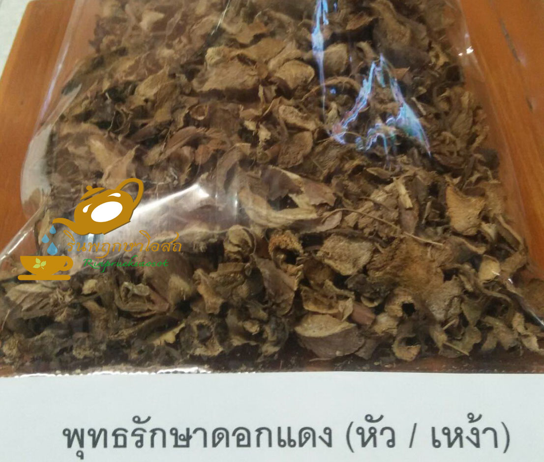 พุทธรักษาดอกแดง 1 กิโลกรัม