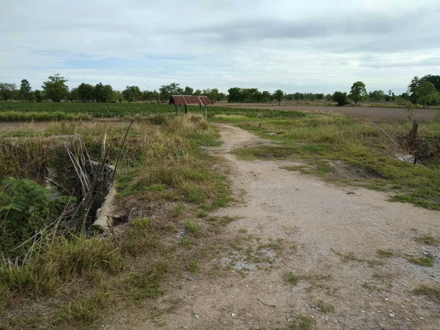 ด่วนขายที่ดินราคาถูกใกล้ถนนใหญ่พหลโยธิน 2.6 กม.ห่างจากปั้มบางจากถนนสายเอเชีย 5 กม.61 ไร่ 2 งาน 82 ตรว.การเดินทางสะดวก อ.เมืองนครสวรรค์