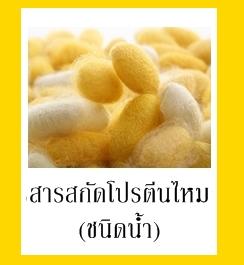 SILK PROTEIN สารสกัดโปรตีนไหม