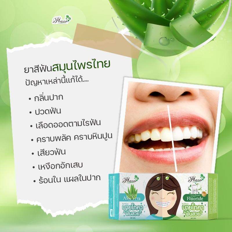 บายโภคา ยาสีฟันบายโภคา ฟันสวย 25g 1กล่อง Phoca Toothpaste ยาสีฟันสมุนไพร