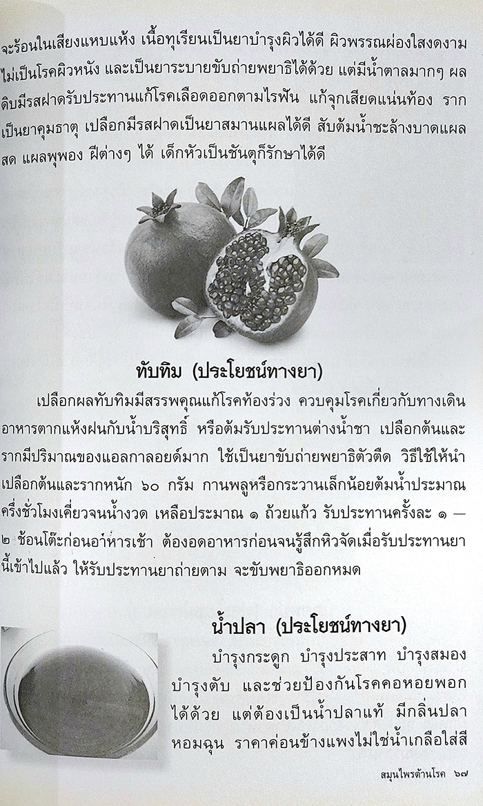 สมุนไพรต้านโรค อนุสรณ์งานฌาปนกิจศพ คุณแม่สมจิตร์ ประสพผลสุจริต