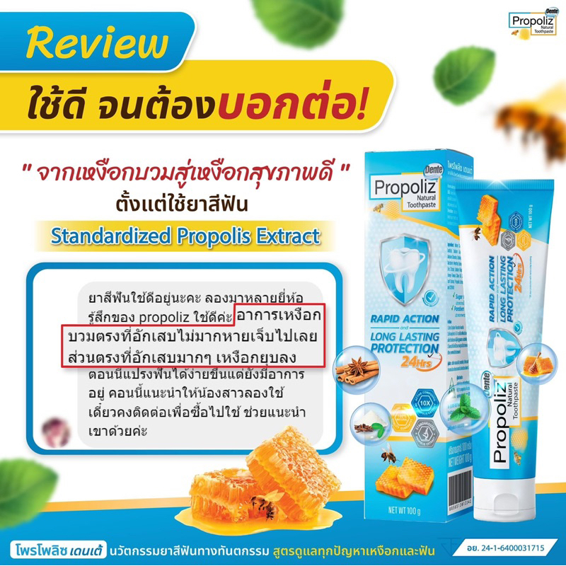 PROPOLIZ NATURAL TOOTHPASTE RAPID ACTION AND LONG LASTING PROTECTION 100g ยาสีฟันโพรโพลิซ เดนเต้ เนเชอรัล