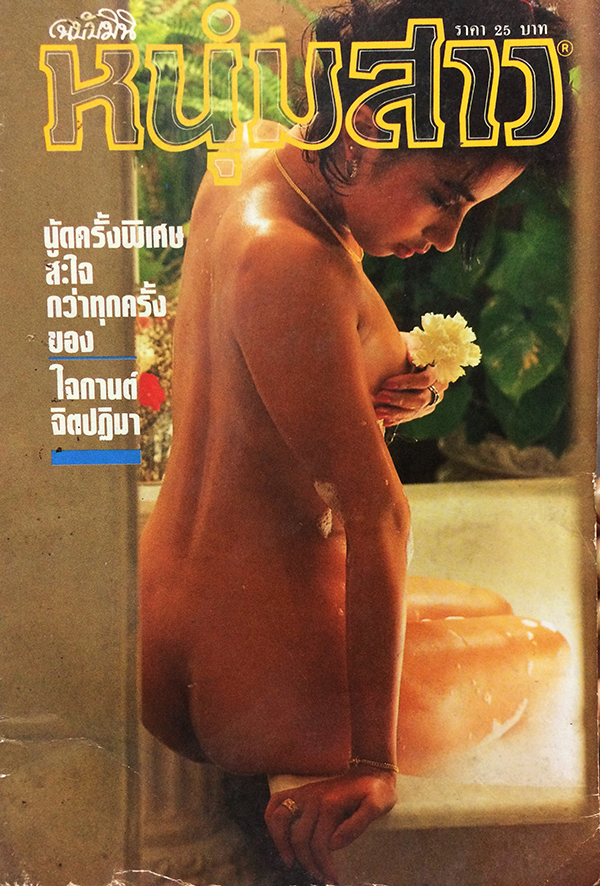 หนุ่มสาว ฉบับมินิ เล่มที่ 19