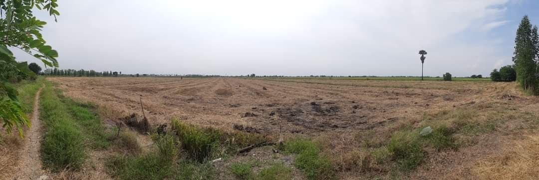 ขายที่ดิน อ.สามชุก จ.สุพรรณบุรี 12 ไร่ 3 งาน 68 ตรว. ใกล้ถนนหลวงชนบทสุพรรณบุรี (4022) 200 ม.เหมาะแก่การทำการเกษตรบรรยากาศดีเดินทางสะดวกใกล้โรงเรียนบ้านหนองบัวทอง 600 เมตร