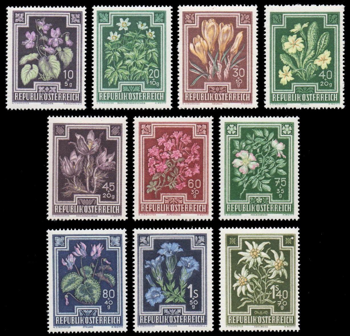 Flowers