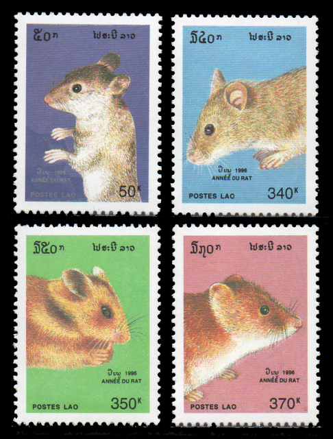 New Year (Year of the Rat)