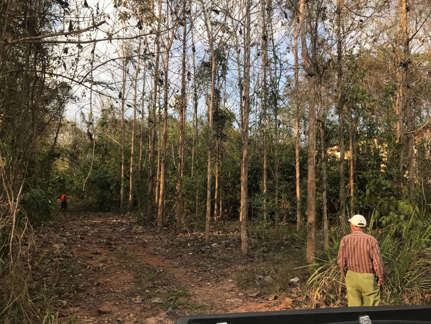 ขายที่ดินราคาถูกใกล้มหาวิทยาลัยราชภัฏเลย เหมาะแก่การสร้างบ้านอยู่อาศัยหรือหอพักบรรยากาศดีเดินทางสะดวก