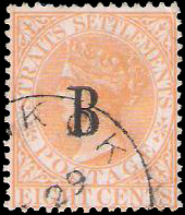 B19