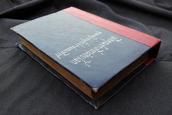 เมื่อคุณย่าเที่ยวรอบโลก เล่ม ๒