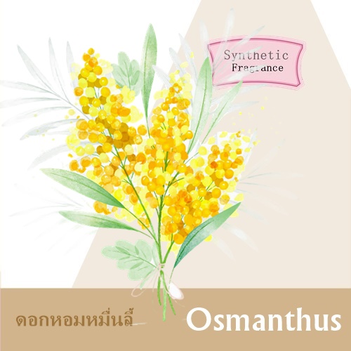 Osmanthus หัวน้ำมันหอม ดอกหอมหมื่นลี้ floral fruity lactonic soft spicy กลิ่นหอมสดชื่น บางเบา สบาย ชวนให้นึกถึงกลิ่นของใบสนและช่อดอกไม้ ละลายในแอกอฮอล์และน้ำมัน / ทนความร้อนสูง/ ไม่เร่งเทรซ COA