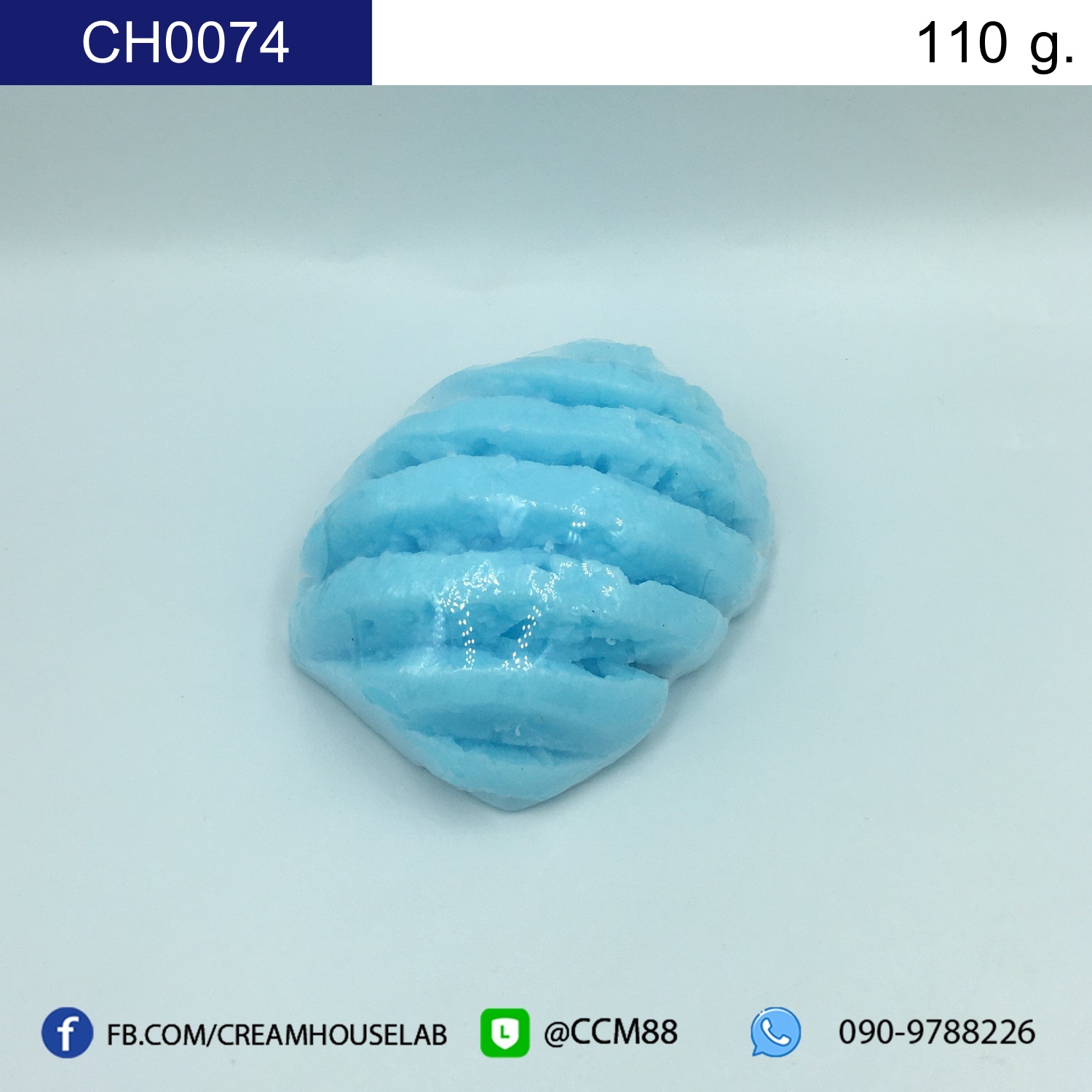 รหัส CH0074