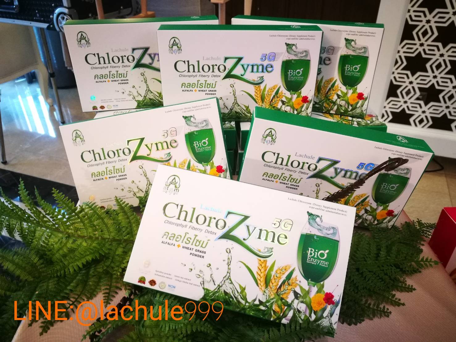 Chloro Zyme 5G Heathy คลอโรไซม์ โฟว์จี