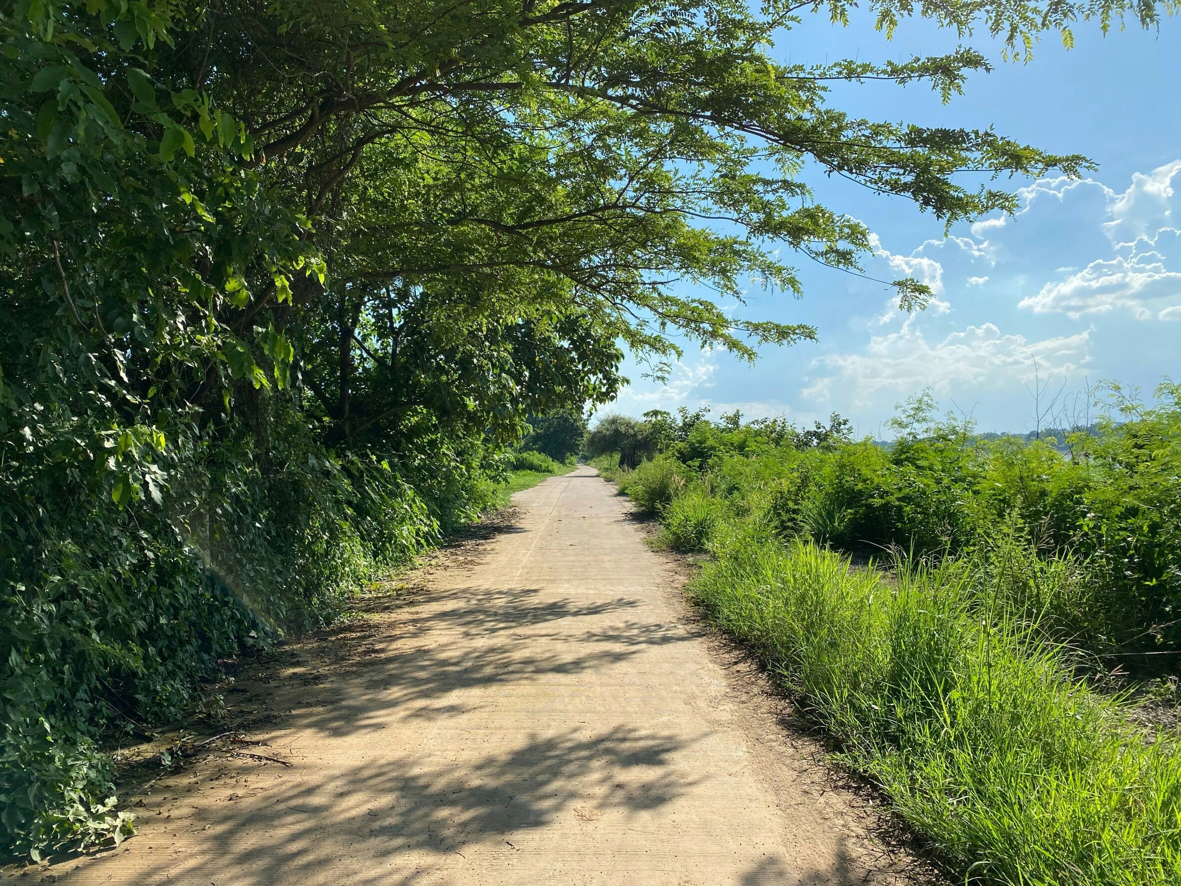 ขายที่ดินติดริมแม่นํ้าโขง อ.เมืองหนองคาย 300 ตรว. ด้านหน้าเป็นคอนกรีตบรรยากาศดีเหมาะแก่การสร้างบ้านอยู่อาศัยหรือทำธุรกิจพื้นที่กว้างพร้อมสำหรับทุกคนในครอบครัว