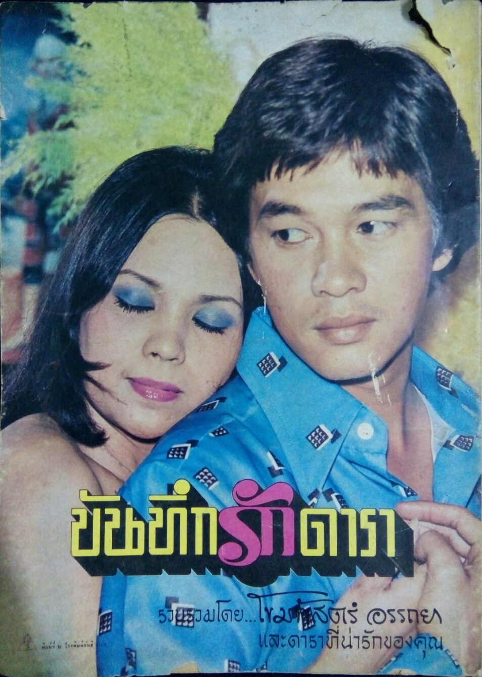 บันทึกรักดารา