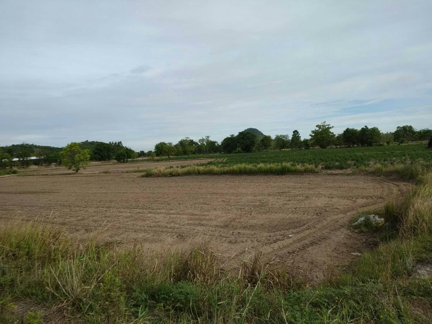 ด่วนขายที่ดินราคาถูกใกล้ถนนใหญ่พหลโยธิน 2.6 กม.ห่างจากปั้มบางจากถนนสายเอเชีย 5 กม.61 ไร่ 2 งาน 82 ตรว.การเดินทางสะดวก อ.เมืองนครสวรรค์