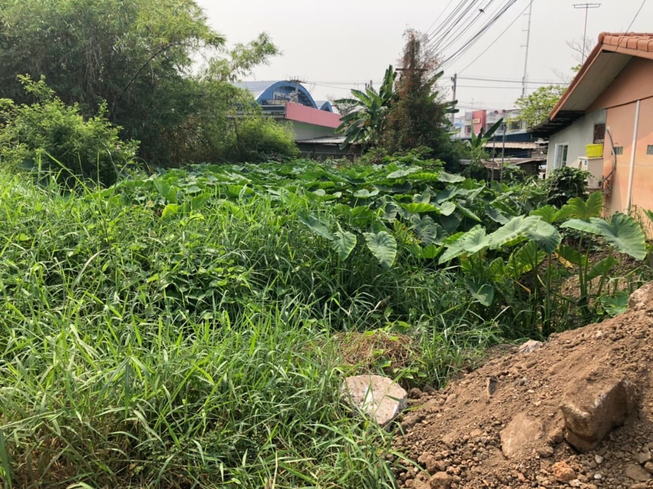 ขายที่ดินราคาถูกกลางเมืองอุทัยธานีห่างจากสถานีขนส่งผู้โดยสารอุทัยธานี 285 เมตร