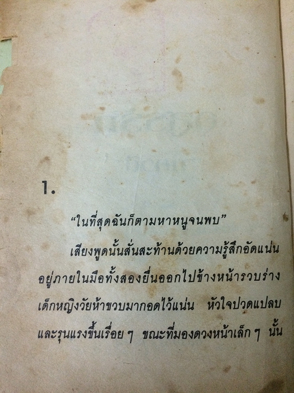 อสูรรัก (เล่มเดียวจบ)