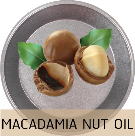 MACADAMIA NUT OIL น้ำมันแมกคาเดเมีย
