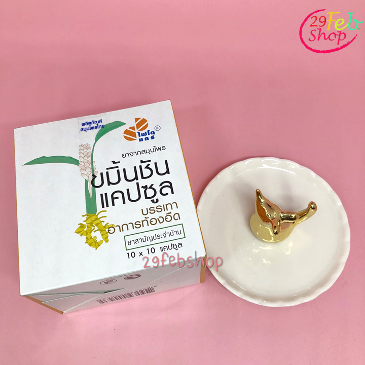 Phyto Care Herbal Medicine Curmin Capsule 10 x 10 Caps ขมิ้นชันแคปซูล