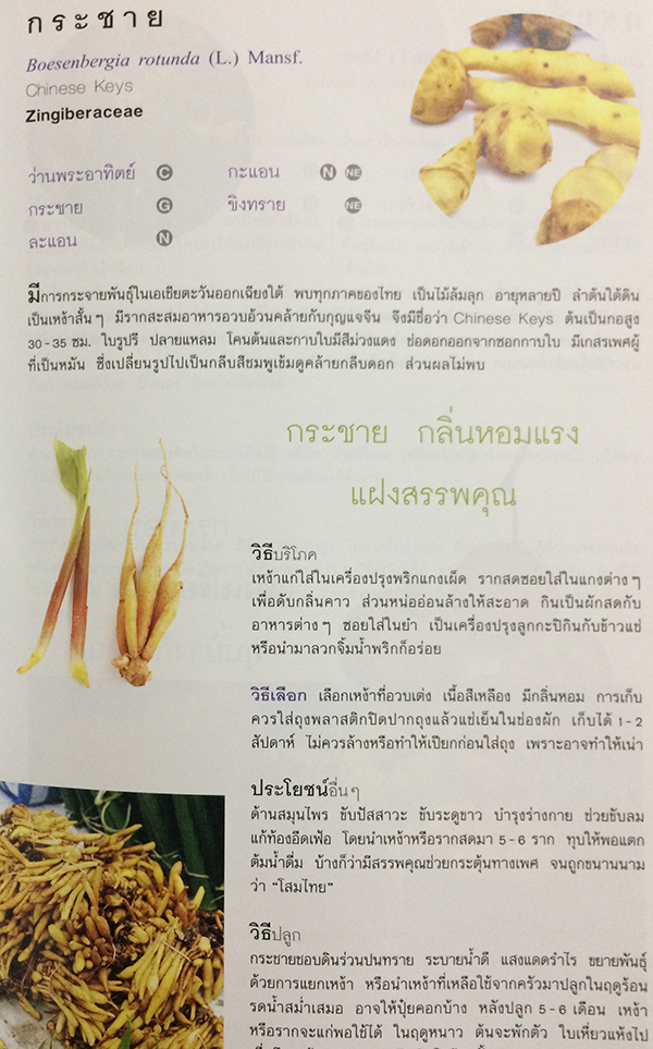 ผักพื้นบ้าน 2 (Indigenous Vegetables 2)