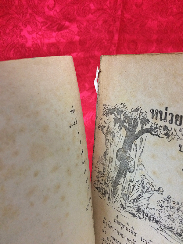 แบบเรียนวิทยาศาสตร์เบื้องต้น ชั้นประถมปีที่ 6