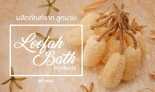 ลูกบวบสปาแขวน B 2 นิ้ว 3.5 ถึง 5ซม