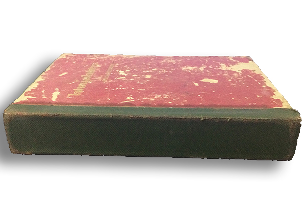 ไฟหนุ่มไฟสาว (เล่มเดียวจบ)