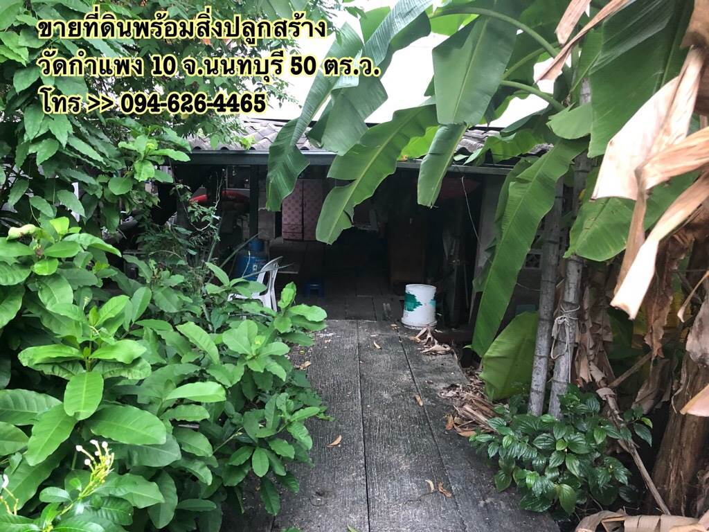 ขายด่วน ที่ดินพร้อมสิ่งปลูกสร้าง ซอยวัดกำแพง 10 จังหวัดนนทบุรี 50 ตร.ว.