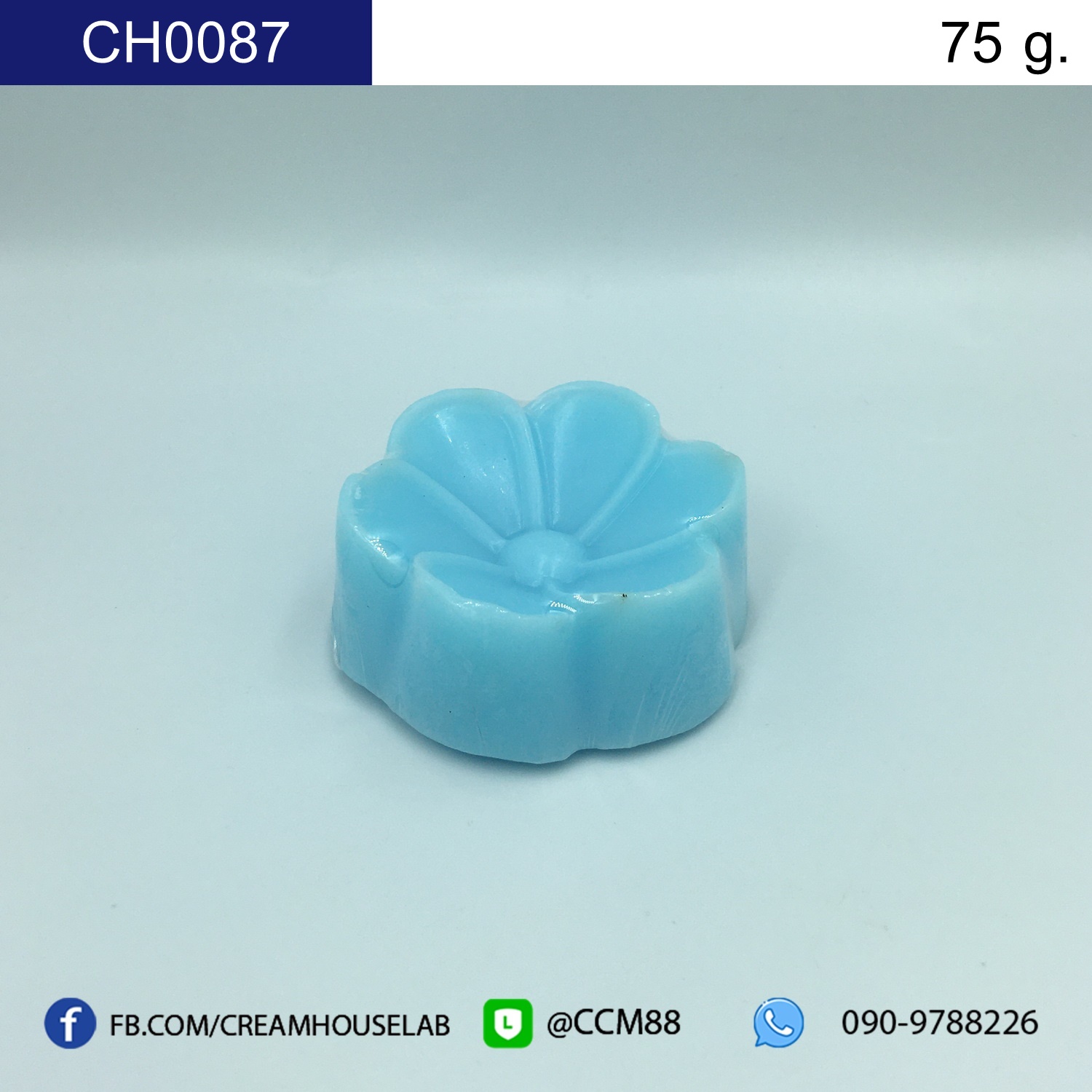 รหัส CH0087