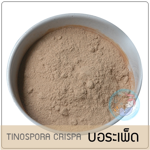 TINOSPORA CRISPA ผงบอระเพ็ด
