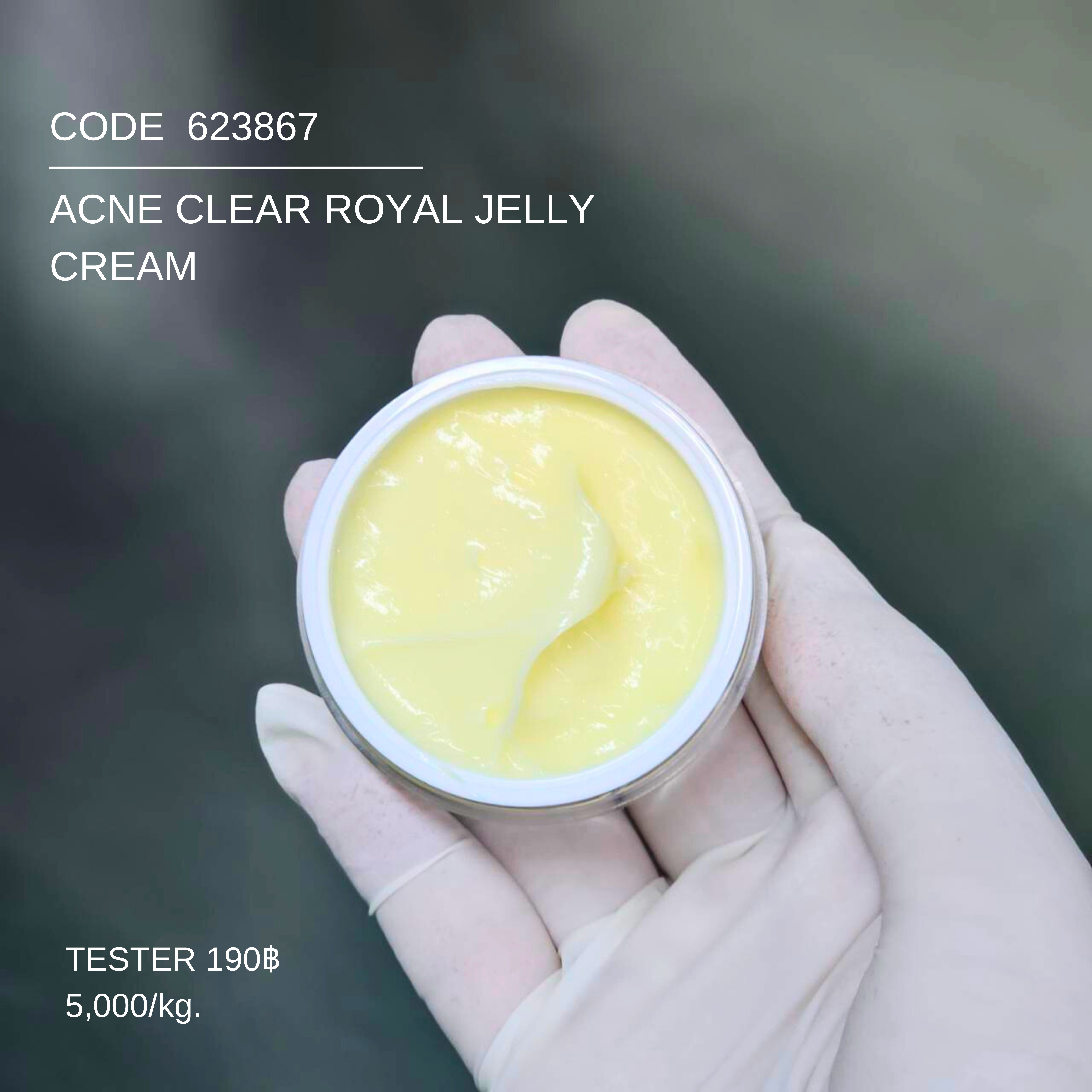 ครีมนมผึ้งบล็อคสิว - ACNE CLEAR ROYAL JELLY CREAM