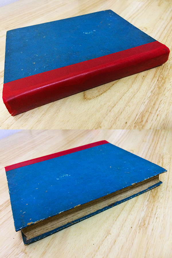 หนังสือเกี่ยวกับแมลง กายวิภาค สัณฐานแมลง