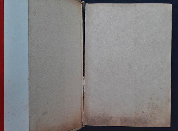 กุหลาบสีเลือด