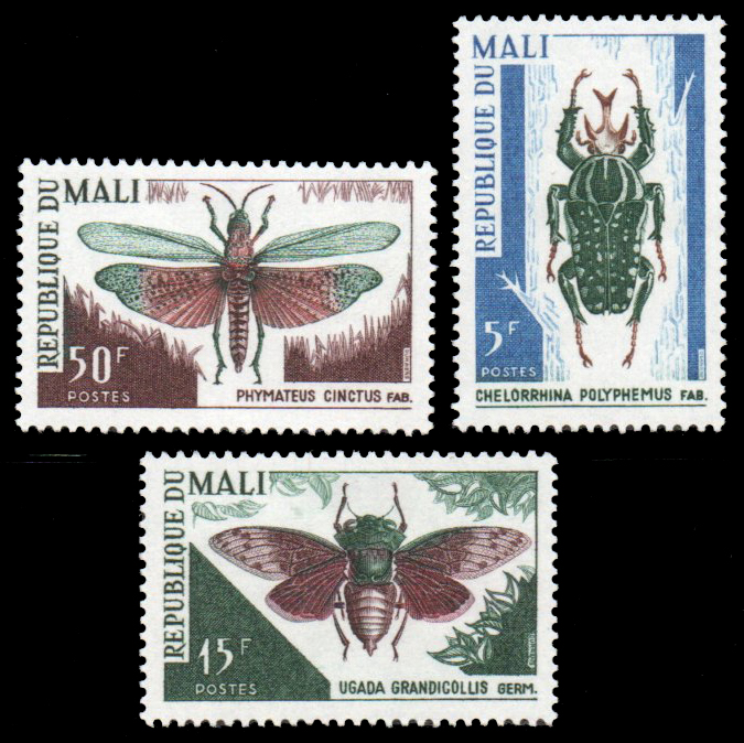 1967 Insects