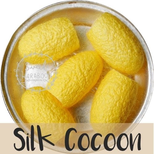 GOLDEN COCOON รังไหมชนิดสีทอง