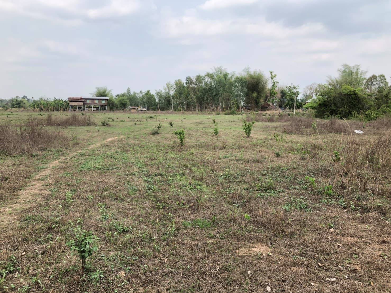 ด่วนขายที่ดินสวยราคาถูกที่สุดในเขตชุมชน อ.เพ็ญ.อุดรธานีห่างจากโรงเรียนบ้านสร้าง แป้น สปพ.อุดรธานีเขต(1) 500เมตรการเดินทางสะดวก