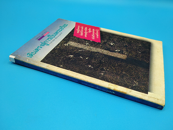 เดินตรงสู่การเป็นพระอริยะ