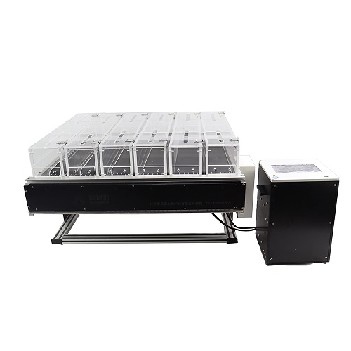 Rodent Treadmill