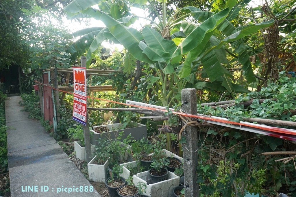 ขายที่ดินเปล่าใจกลางเมือง ต่ำประเมิน เขตบางซื่อ กรุงเทพนนท์ 21 ข้างชุมชนวัดเชิงหวาย 50 ตร.ว
