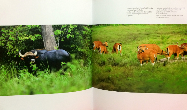 Siam Through Time (ภาษาไทย-อังกฤษ)