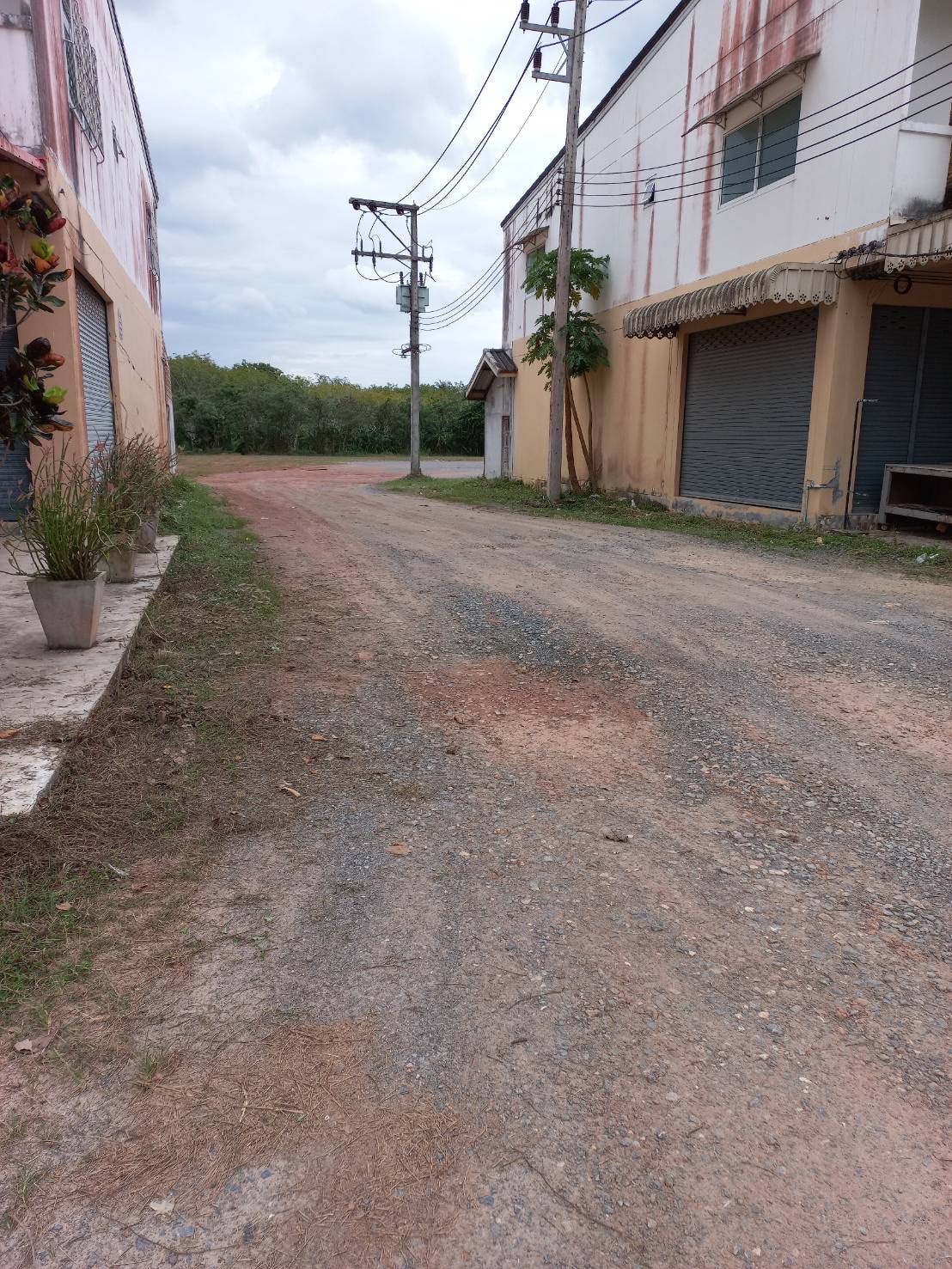 ขายที่ดินถมแล้วติดถนนใหญ่ 4 เลน มีระบบน้ำประปา หม้อแปลงไฟฟ้าแรงสูงพร้อม สามารถดำเนินการทำโครงการบ้านเดี่ยวขนาด 60ถึง70 ตารางวาได้ประมาณ35หลัง ขนาด7.5ไร่ ตำบลที่วัง อำเภอทุ่งสงจังหวัดนครศรีธรรมราช