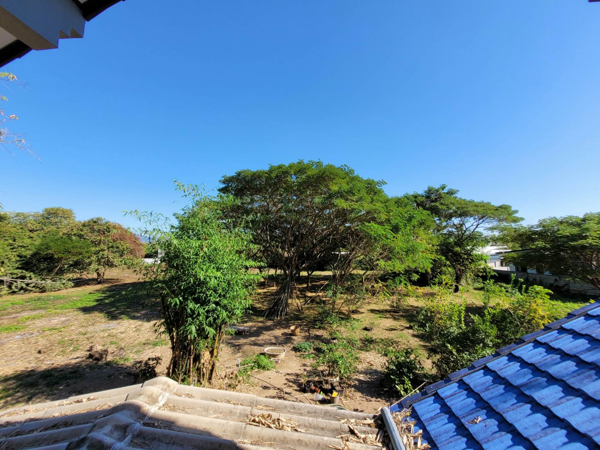 ขายที่ดินราคาถูก อ.เมืองลำปาง เจ้าของขายโดยตรง ใกล้โกบอลเฮ้าส์และเซเว่นสาขาปงแสนทองที่ดินสวยเหมาะทำธุรกิจบรรยากาศดีแบ่งขาย 3 ไร่ ติดต่อเจ้าของที่ 081-9525175 คุณอำนวย