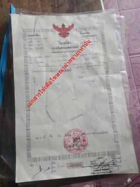 ด่วนขายที่ดินราคาถูกใกล้ถนนใหญ่พหลโยธิน 2.6 กม.ห่างจากปั้มบางจากถนนสายเอเชีย 5 กม.61 ไร่ 2 งาน 82 ตรว.การเดินทางสะดวก อ.เมืองนครสวรรค์