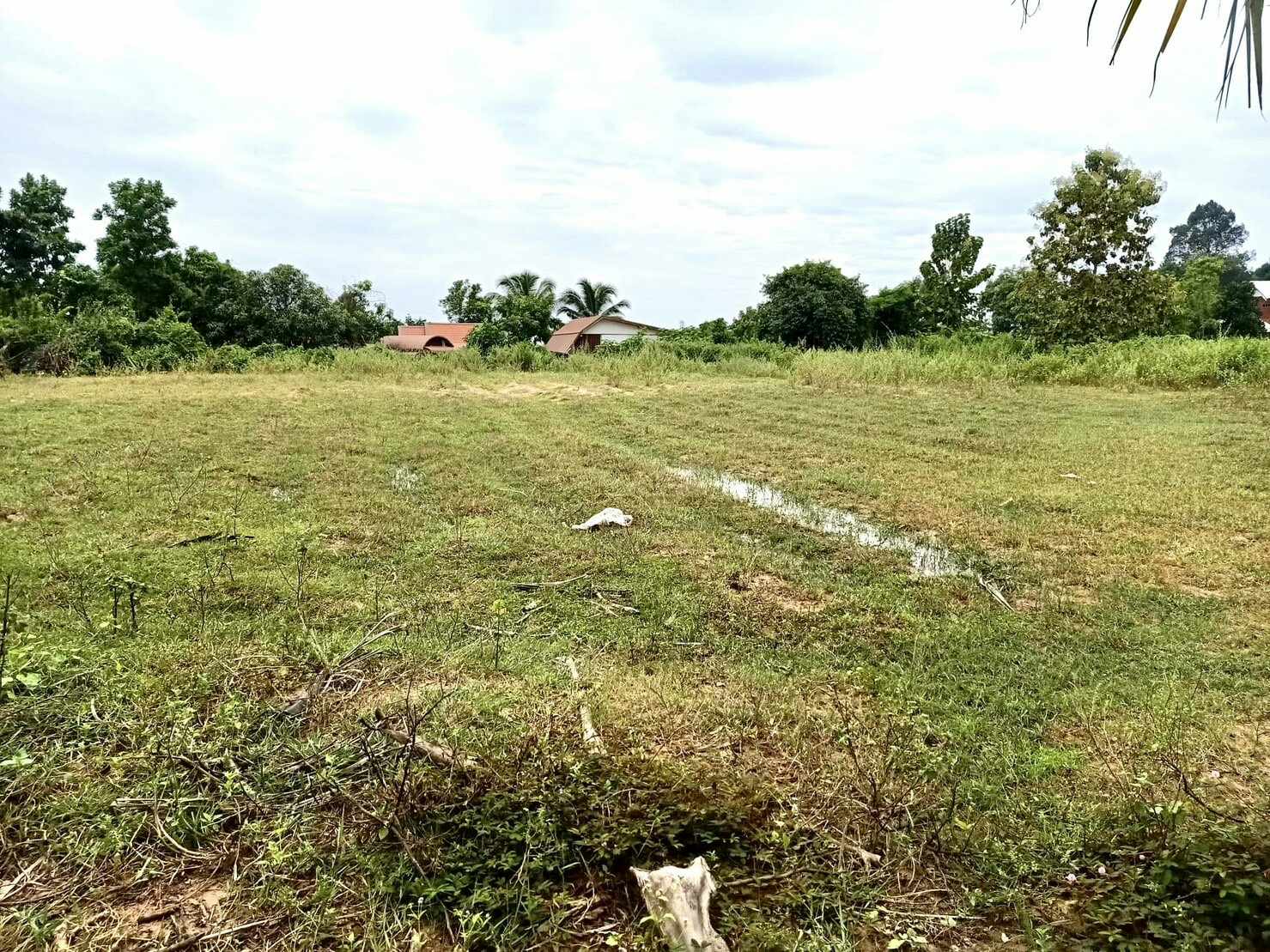 📢💥ที่ดินราคาถูกติดถนนลาดยางงานละ325,000บาทใกล้ตลาดสดซำสูงจ.ขอนแก่นใกล้โรงเรียนเหมาะสร้างบ้านอยู่อาศัยหรือทำธุรกิจสนใจติดต่อเจ้าของตามเบอร์ท้ายประกาศ📢💥