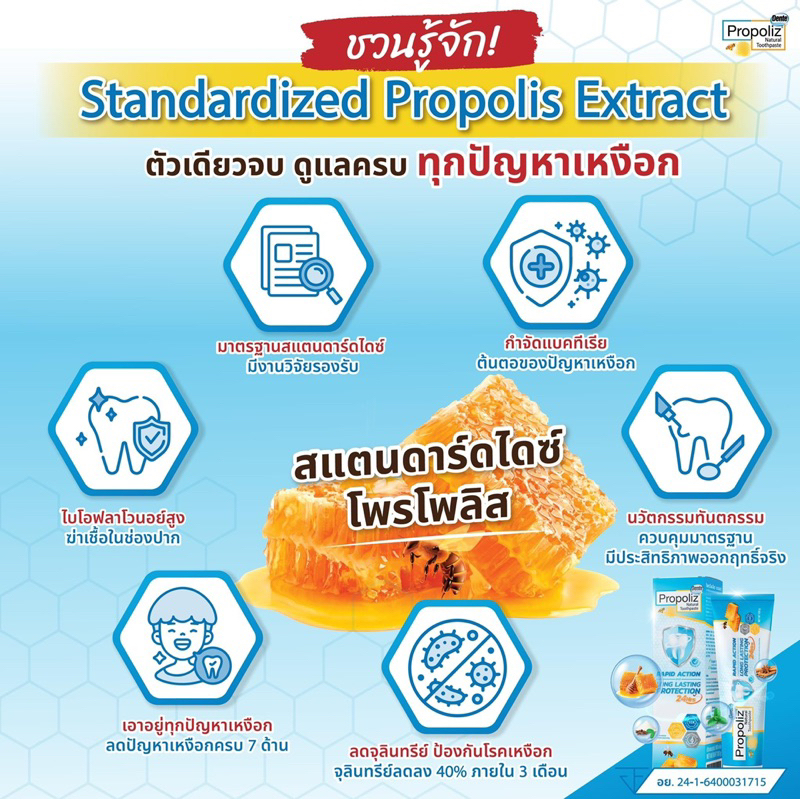 PROPOLIZ NATURAL TOOTHPASTE RAPID ACTION AND LONG LASTING PROTECTION 100g ยาสีฟันโพรโพลิซ เดนเต้ เนเชอรัล