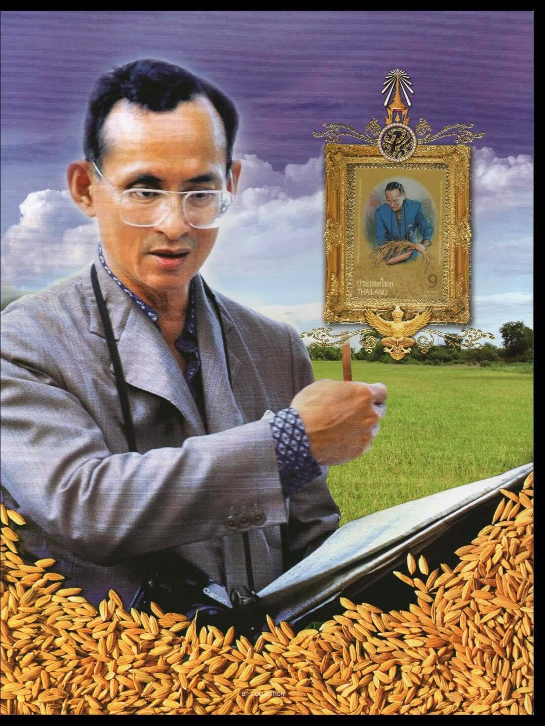 แผ่นที่ระลึกวันเฉลิมพระชนมพรรษา พระบาทสมเด็จพระเจ้าอยู่หัวภูมิพลอดุลยเดช 2554 (พร้อมแสตมป์)