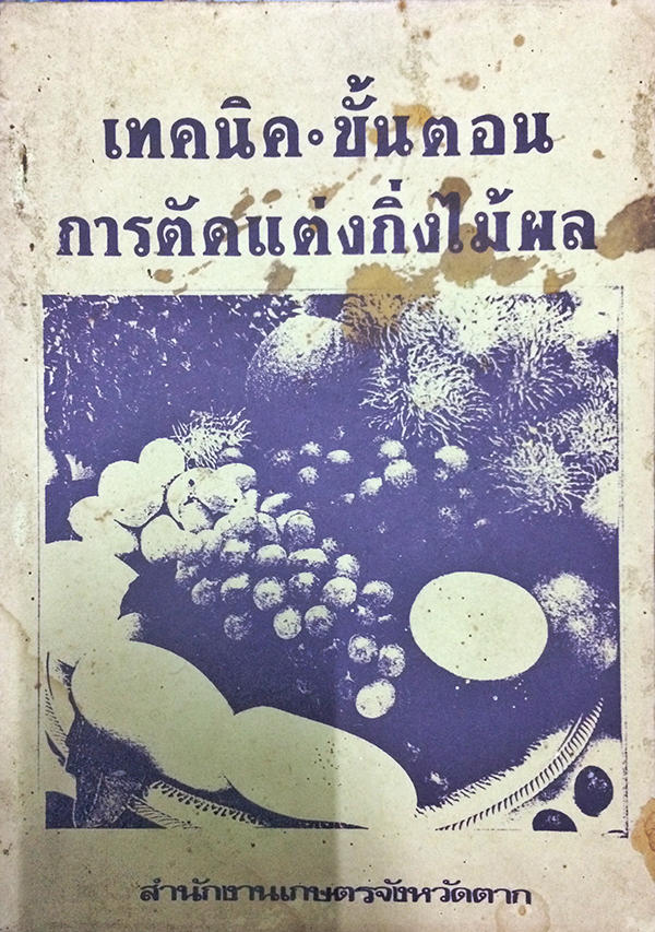 เทคนิคและขั้นตอนการตัดแต่งกิ่งไม้ผล
