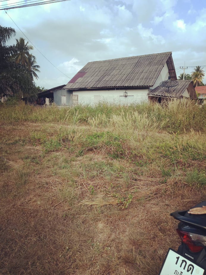 ขายที่ดินสวยราคาถูกที่สุดต.เกาะยาวใหญ่ อ.เกาะยาว จ.พังงา