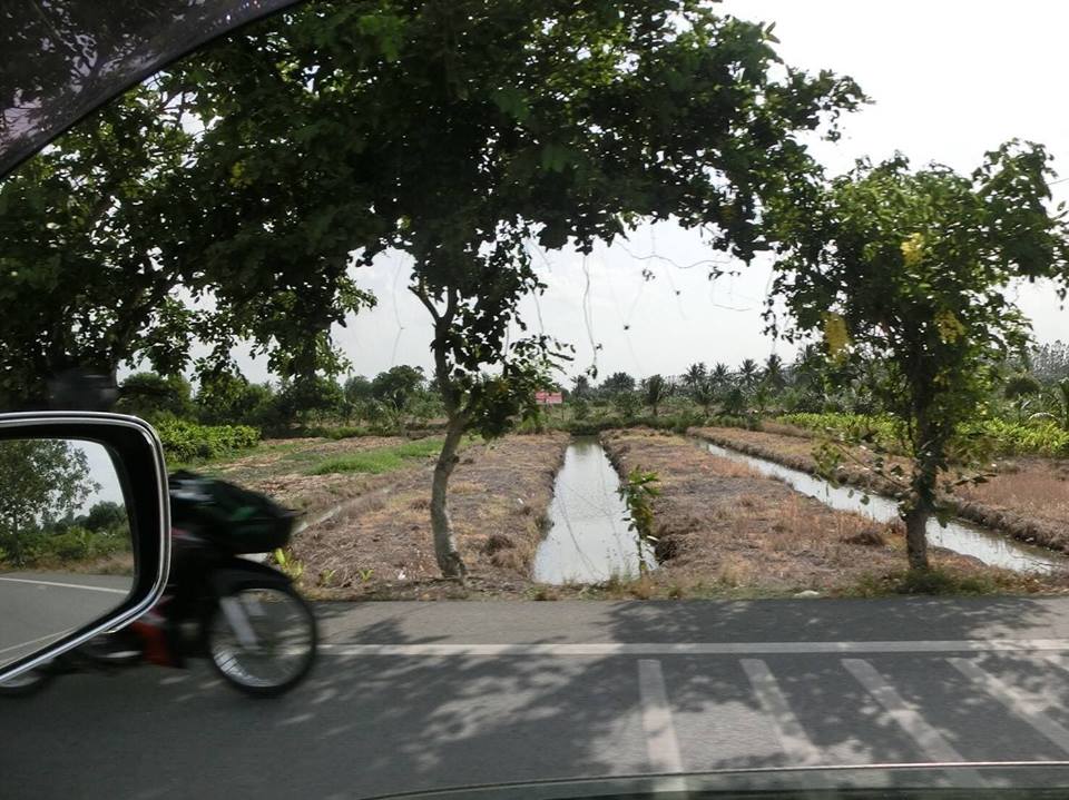 ขายที่ดิน อำเภอบางเลน สวยผืนใหญ่ ต.ลำพญา จ.นครปฐม