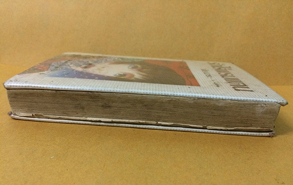 รักไร้พรมแดน (เล่มเดียวจบ)